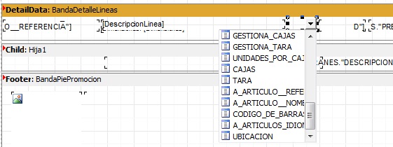Utilizando el desplegable del campo texto podemos seleccionar la variable ubicación Utilizando el desplegable del campo texto podemos seleccionar la variable ubicación