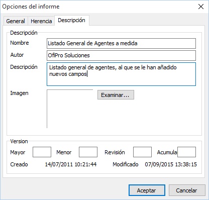 Descripción del informe