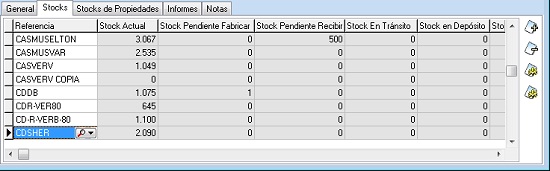 Pestaña Stocks ficha de almacenes Pestaña Stocks ficha de almacenes