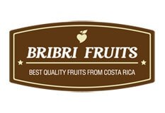 Bribri Fruits